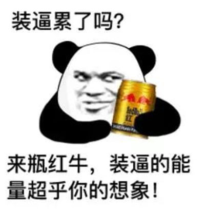 熊图片图片