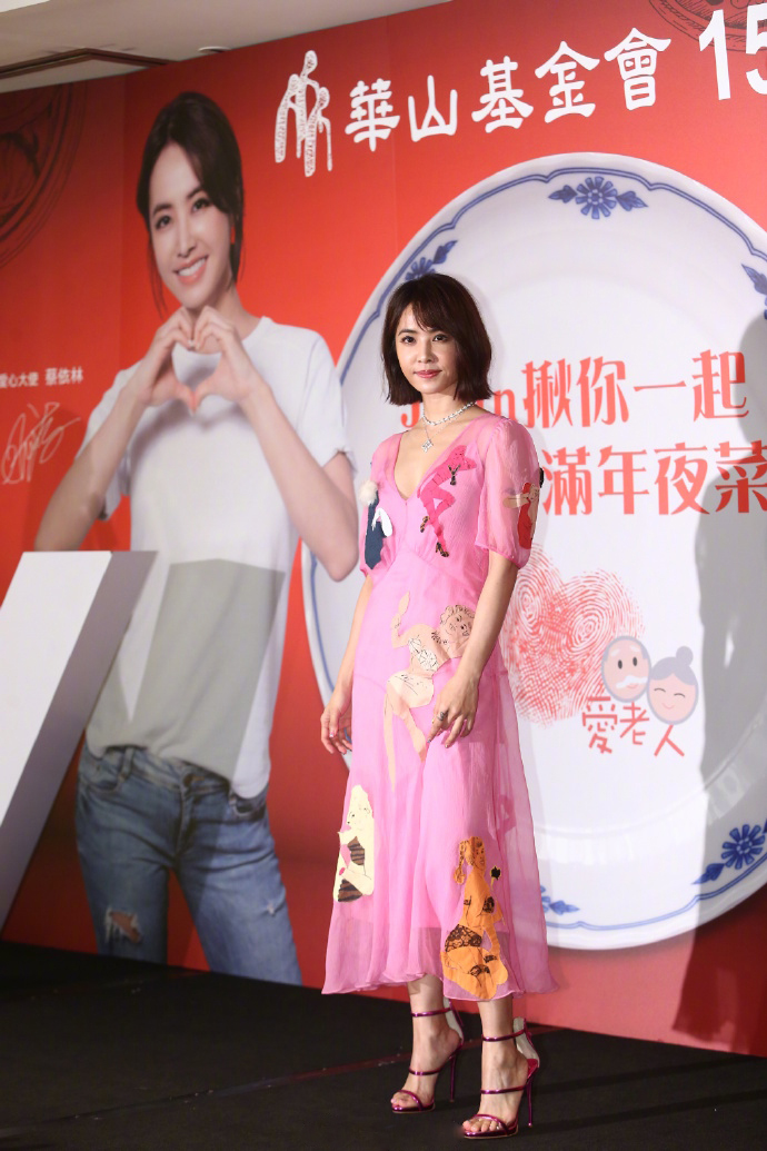 蔡依林粉色长裙少女心公益活动写真图片图片 蔡依林粉色长裙少女心公益活动写真图片图片