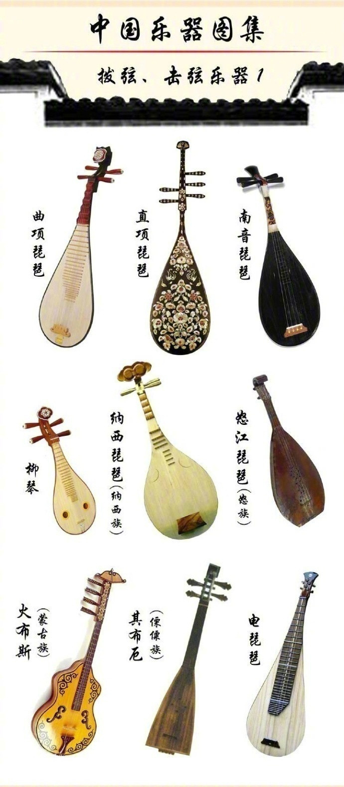 荀飞盏图片  张博版荀飞盏图片图片