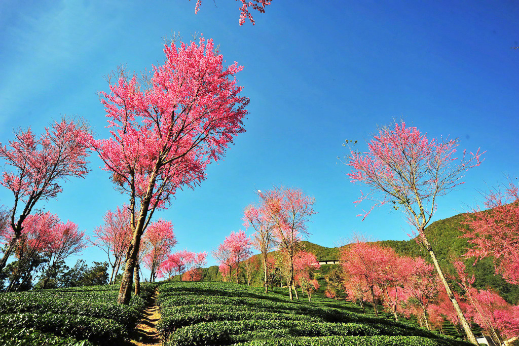 24节气霜降雪山风景桌面壁纸图片
