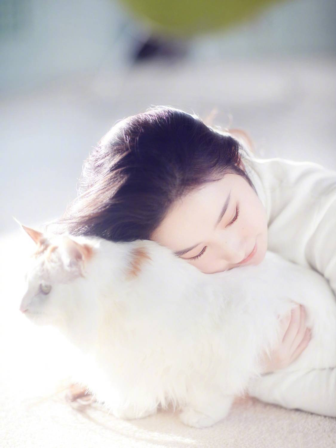 刘亦菲与猫清新唯美高清写真图片图片