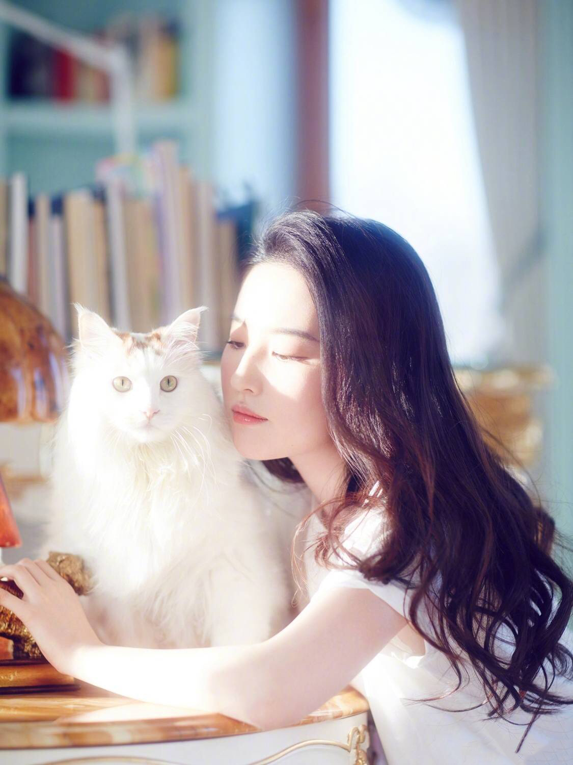 刘亦菲与猫清新唯美高清写真图片图片