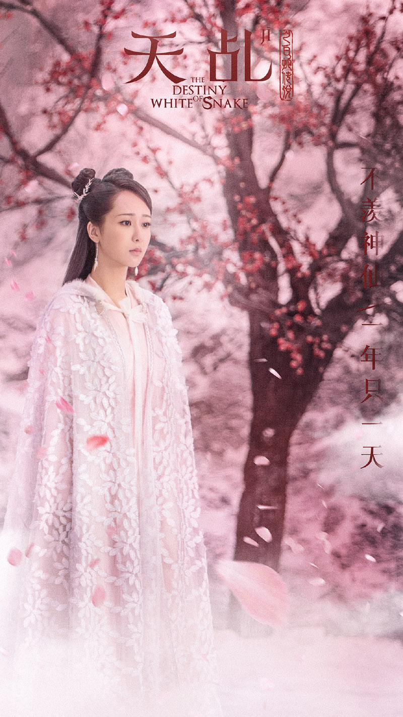 《斗茶》杨紫图片图片