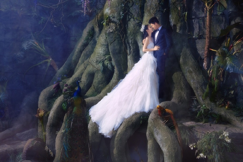 婚纱照图片