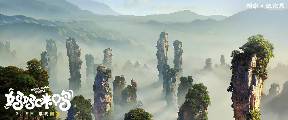 鸭子图片