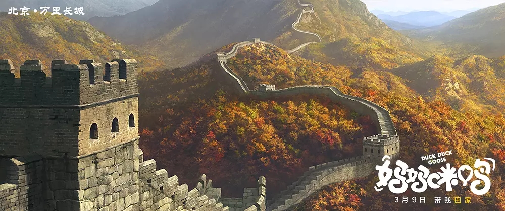 鸭子图片