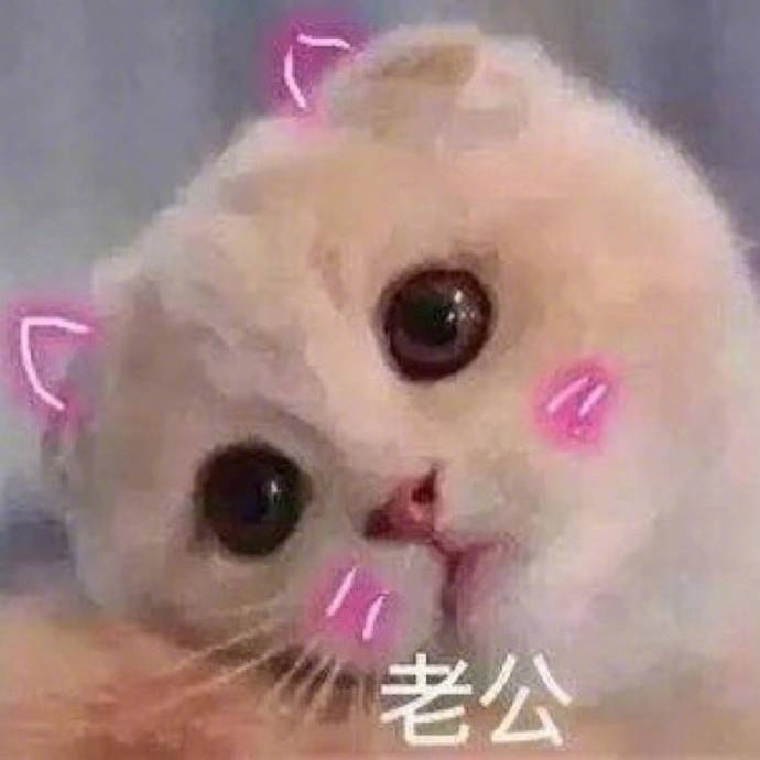 萌系动漫情侣头像图片图片