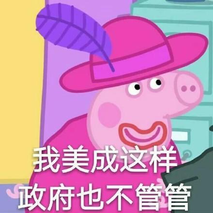 最新考试必过表情包 小猪佩奇表情图片图片