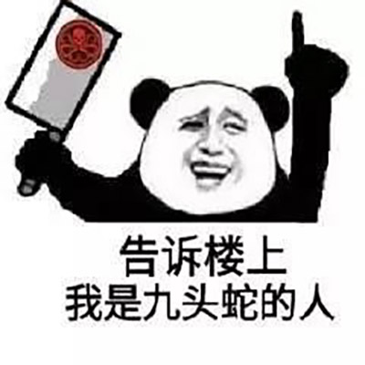 可爱猫咪带字表情包图片图片
