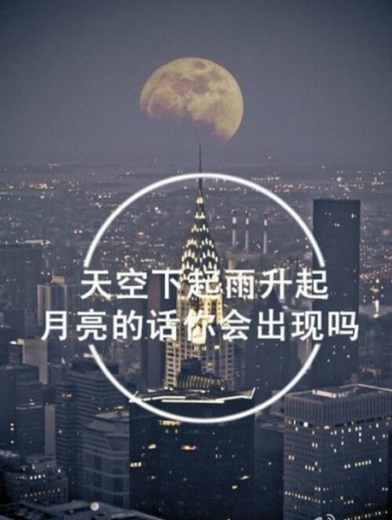 芙蓉姐姐紧身裙亮相瘦至85斤堪称“励志姐”图片
