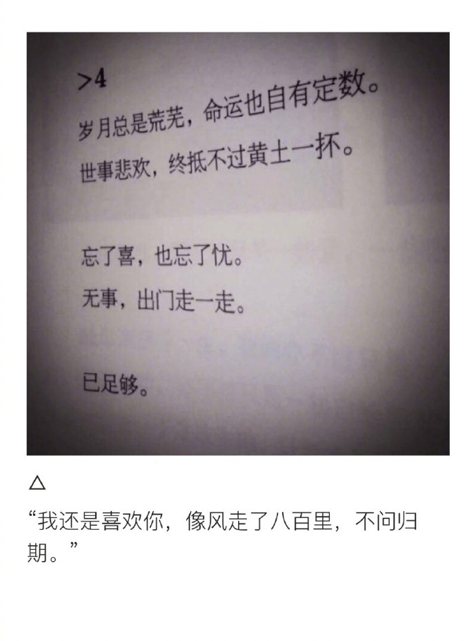 孤独勇气人生爱情心情文字语录图片图片