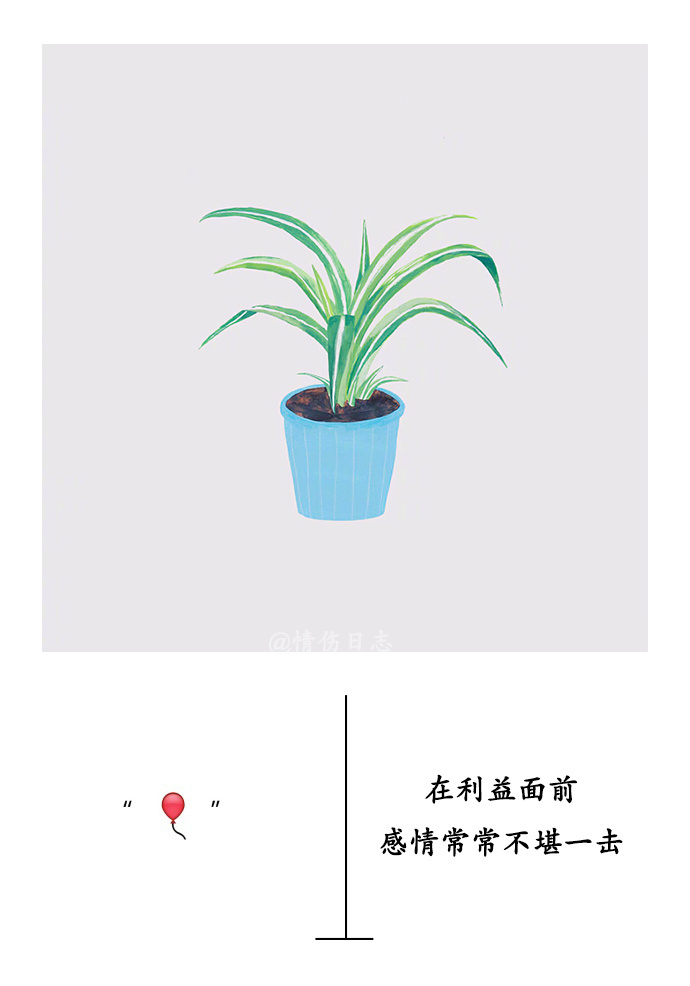 芙蓉姐姐紧身裙亮相瘦至85斤堪称“励志姐”图片