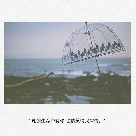唯美暖心的文字语录图片图片