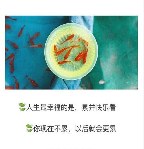 金馆长等快递的心情带字表情图片图片