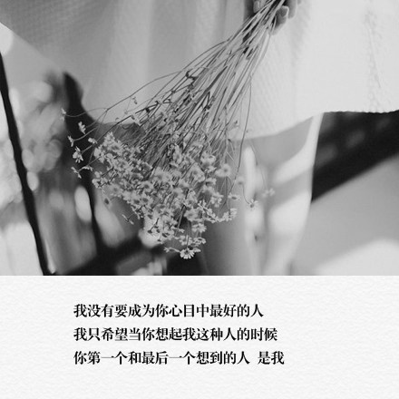 唯美暖心的文字语录图片图片