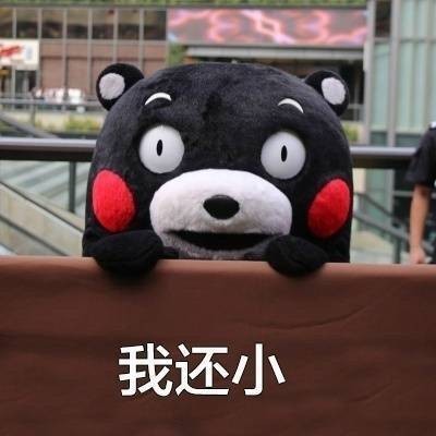 宋祖儿儿童萌照图片图片
