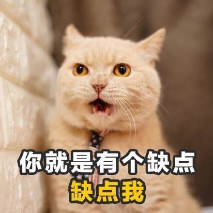 微信食物斗图邪恶搞笑文字表情包图片图片