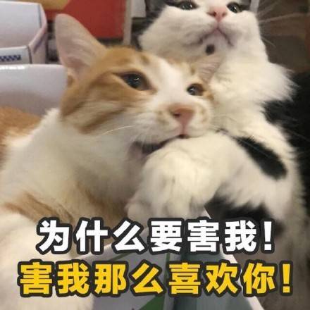 搞笑文字图片