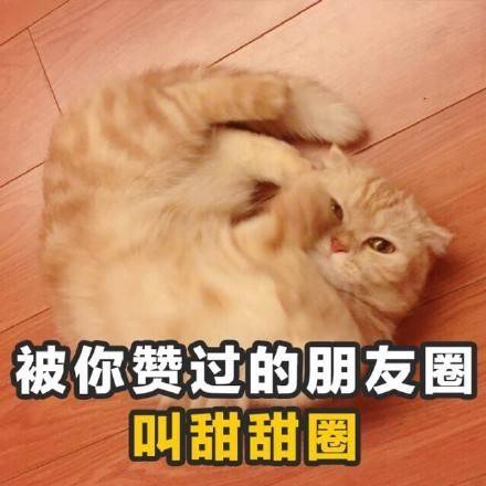 微信食物斗图邪恶搞笑文字表情包图片图片
