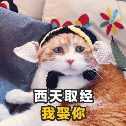 微信食物斗图邪恶搞笑文字表情包图片图片