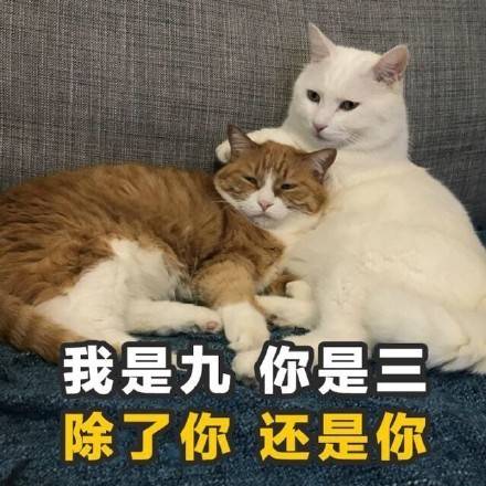 微信食物斗图邪恶搞笑文字表情包图片图片