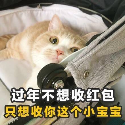 微信食物斗图邪恶搞笑文字表情包图片图片