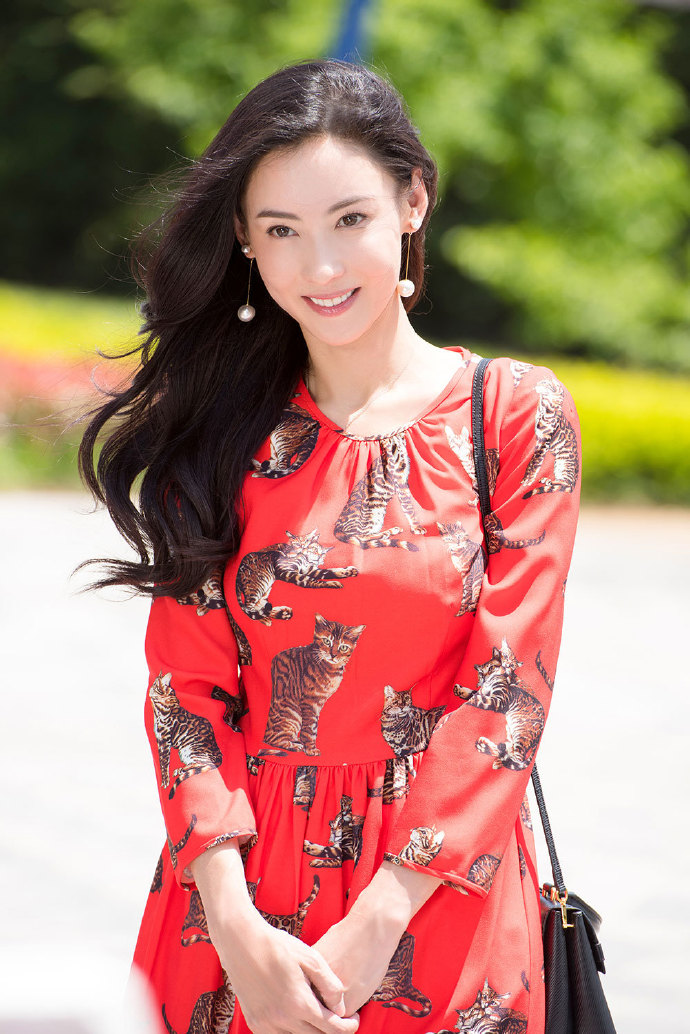 张柏芝图片