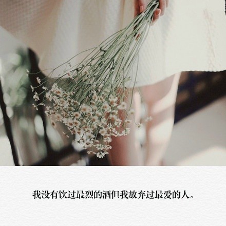 孤独勇气人生爱情心情文字语录图片图片
