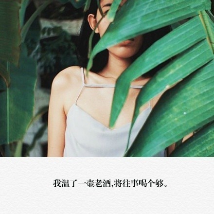 孤独勇气人生爱情心情文字语录图片图片