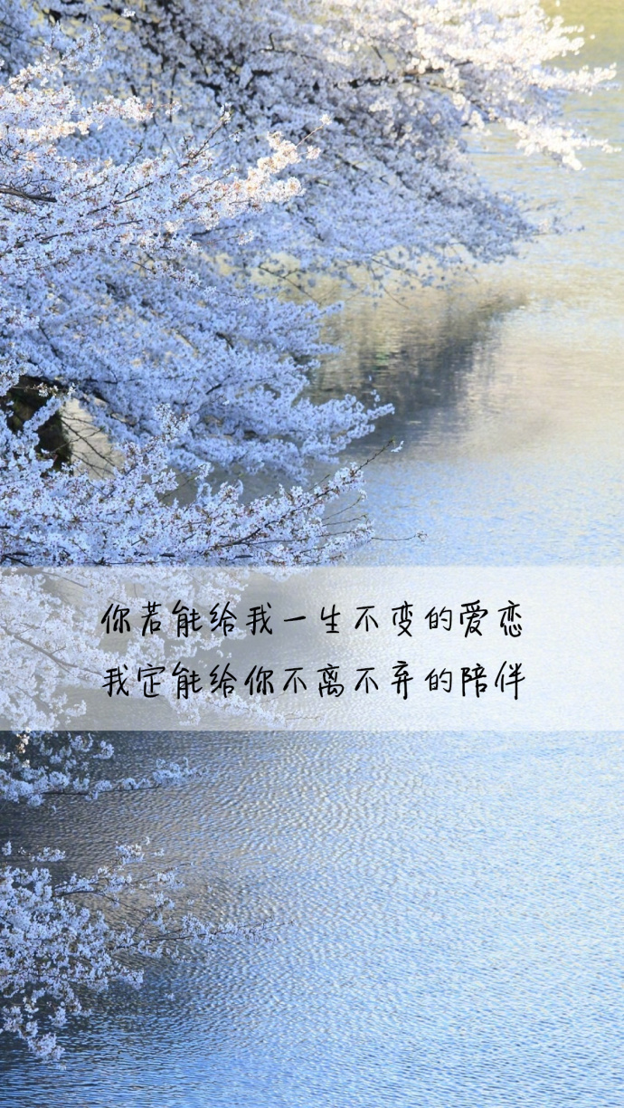 孤独勇气人生爱情心情文字语录图片图片