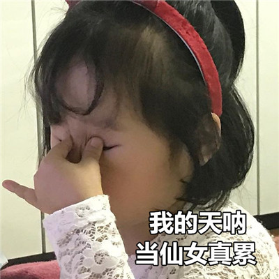 步步惊心丽解树表情包 IU李知恩可爱表情包图片
