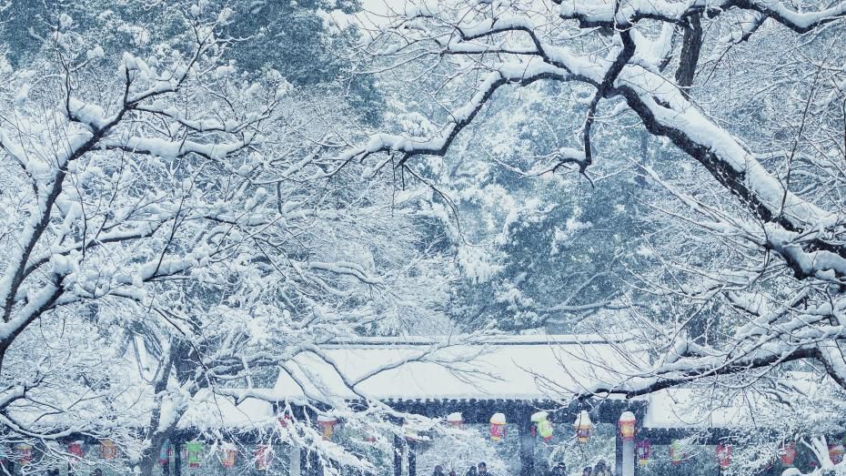 冬日布拉格的雪景唯美摄影图片图片