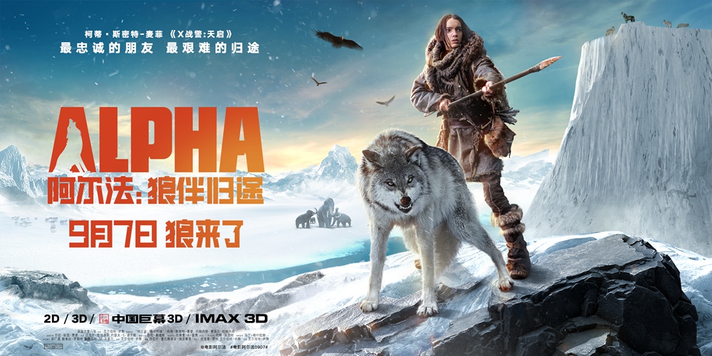 雪中动物冬季雪地上的狼图片桌面壁纸高清下载第一辑图片