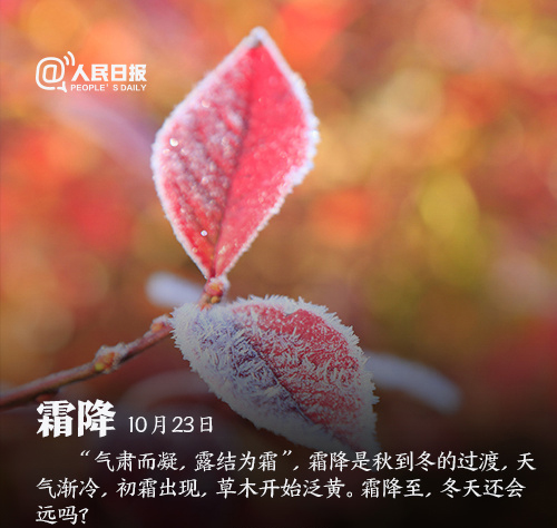 圣诞节唯美创意节日图片桌面壁纸图片