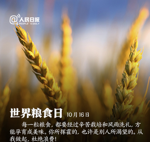 卡通拽拽猫万圣节节日主题系列桌面壁纸高清（4）图片