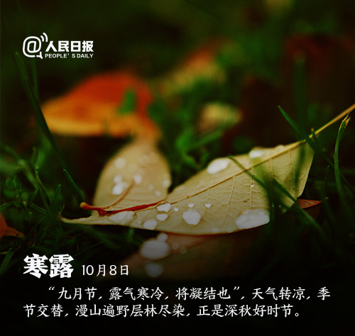 圣诞老人和驯鹿唯美节日图片桌面壁纸图片