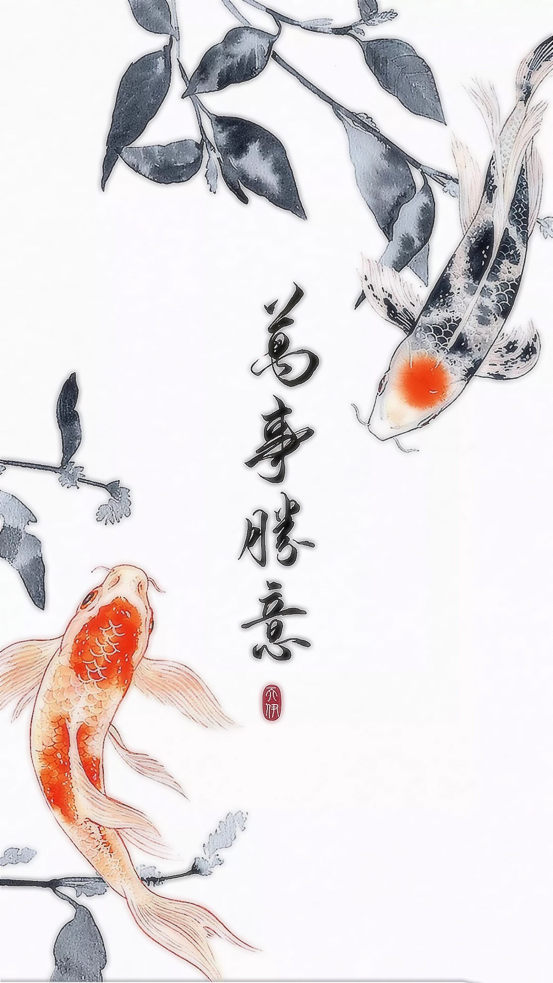 淡水鱼图片