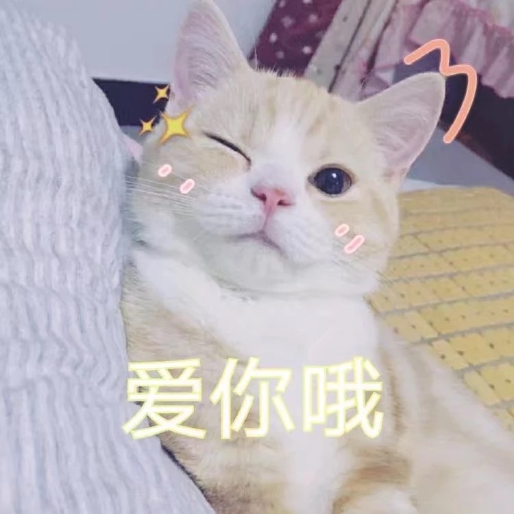 Angelababy前男友陈伟霆活动现场撒娇女粉丝 男性魅力无敌图片