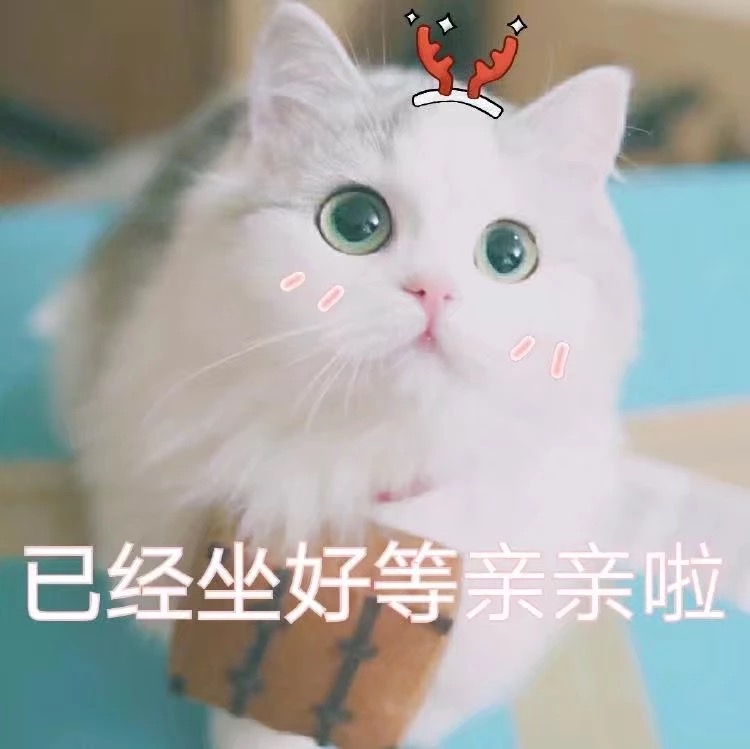 完美假妻168曝终极海报 何炅撒娇徐若瑄图片
