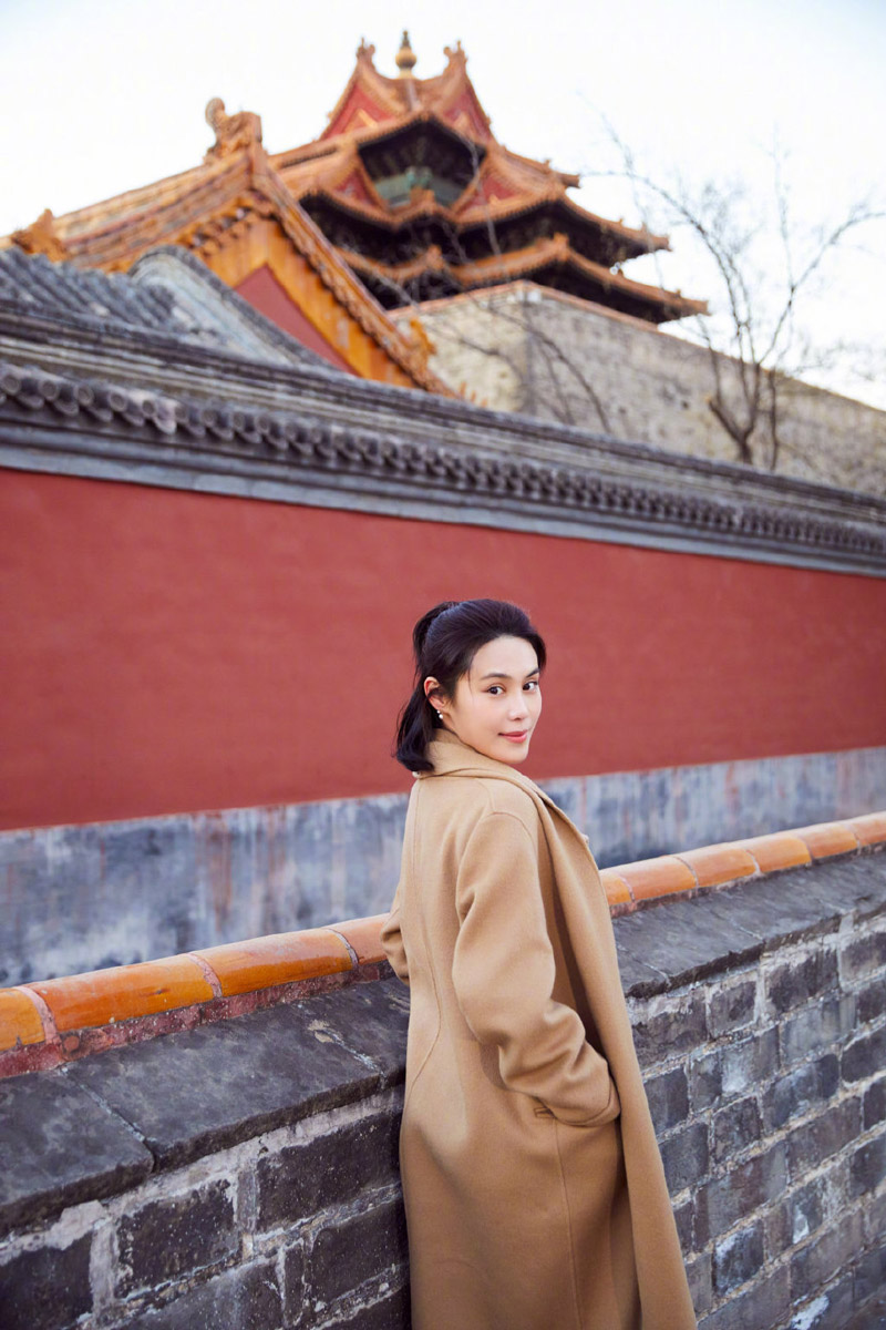 韩丹彤图片