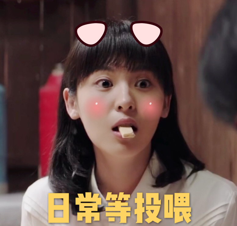 小猫图片