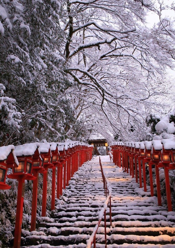 王丽坤清纯靓丽雪景写真图片图片