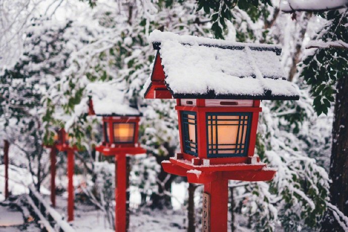 王丽坤清纯靓丽雪景写真图片图片