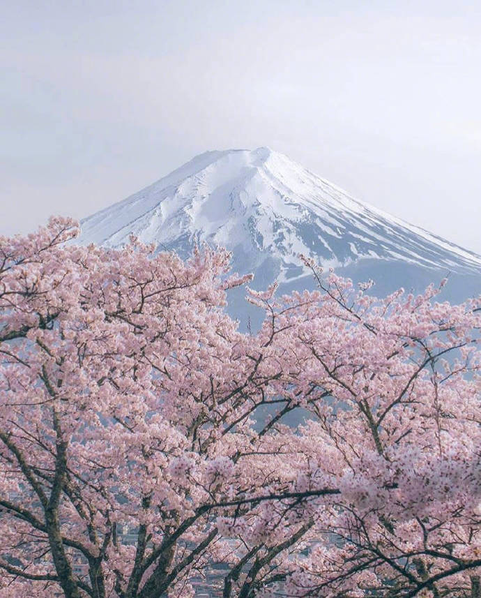 日本富士山唯美壮观景色高清图片图片
