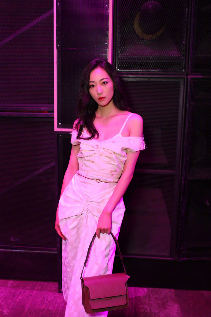 中国大陆江苏省苏州知名女演员韩雪高贵优雅活动写真图片图片