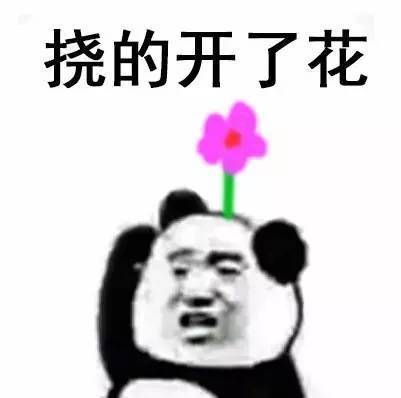 金馆长熊猫文字微信表情包：这是一个悲伤的故事！图片