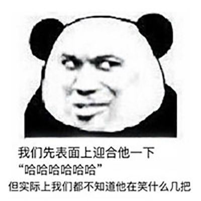 熊图片图片