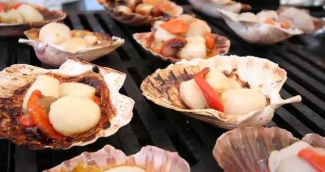 新西兰扇贝图片 新西兰美食图片图片
