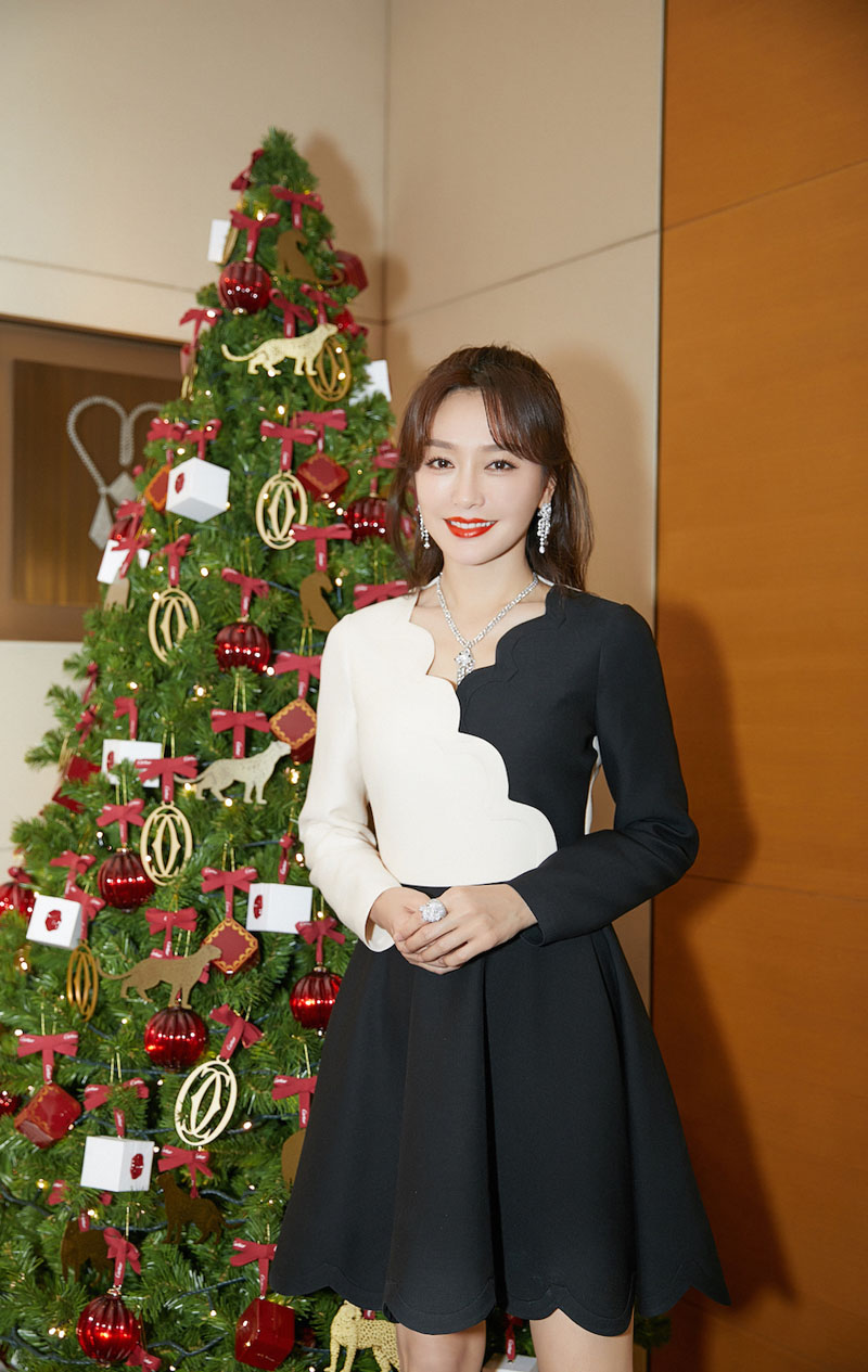 高清中国内地辽宁省沈阳女演员秦岚典雅大气活动写真图片图片