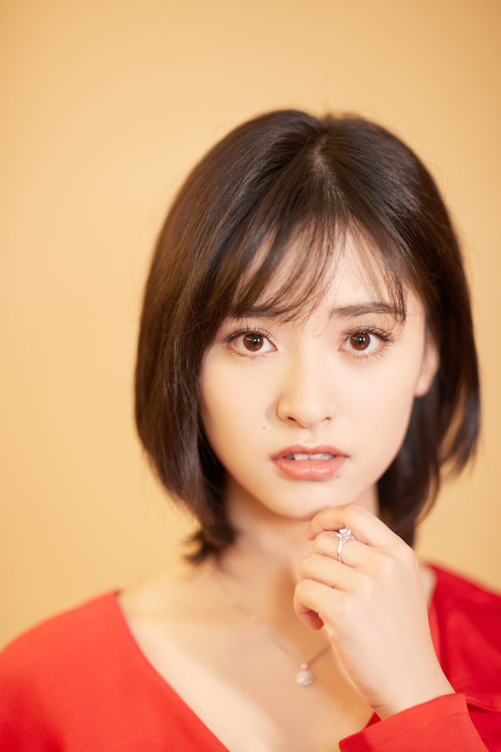 美女沈月图片